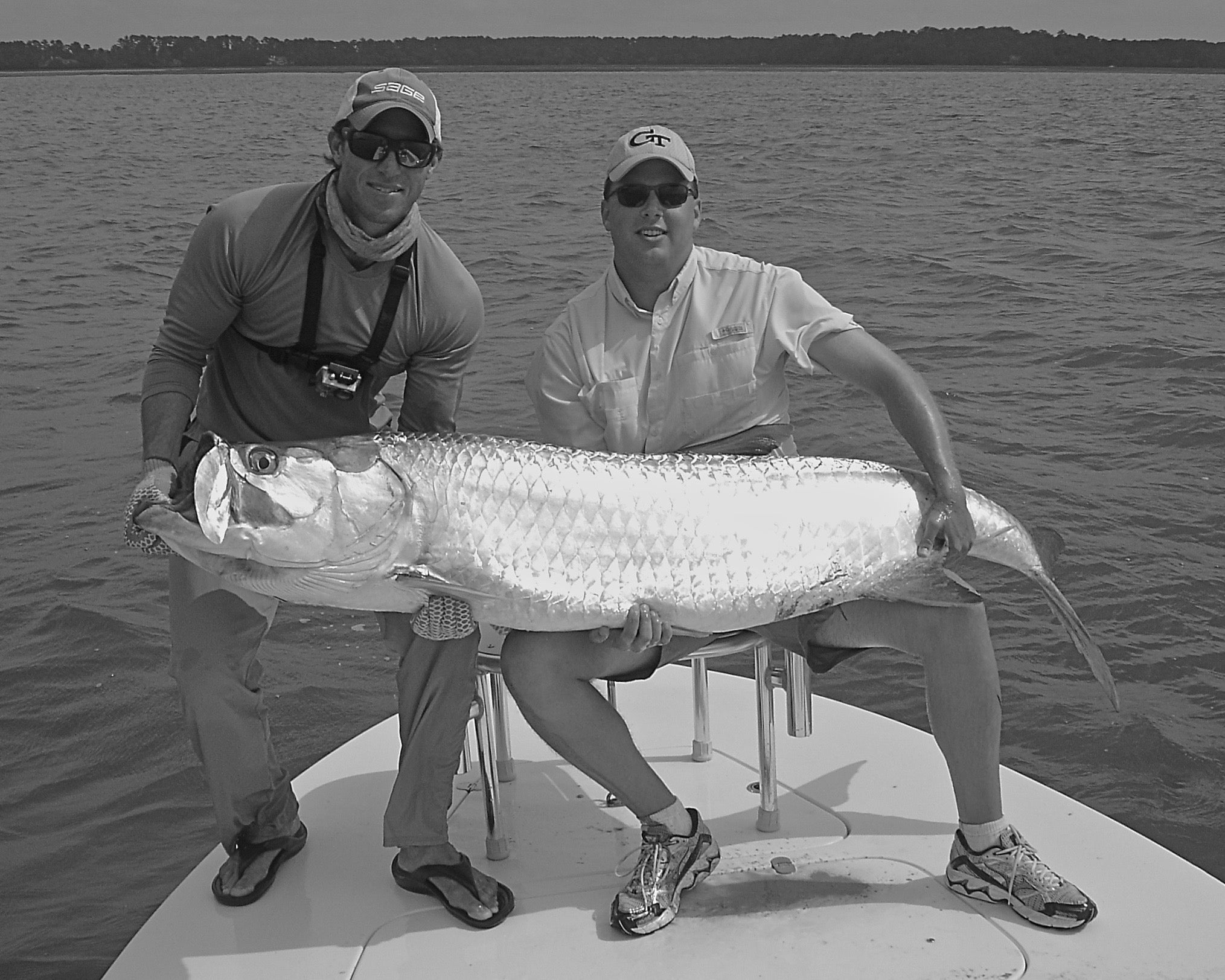 Hilton Head Fishing Charters  Inshore, Nearshore, & Dolphin Tour Photos